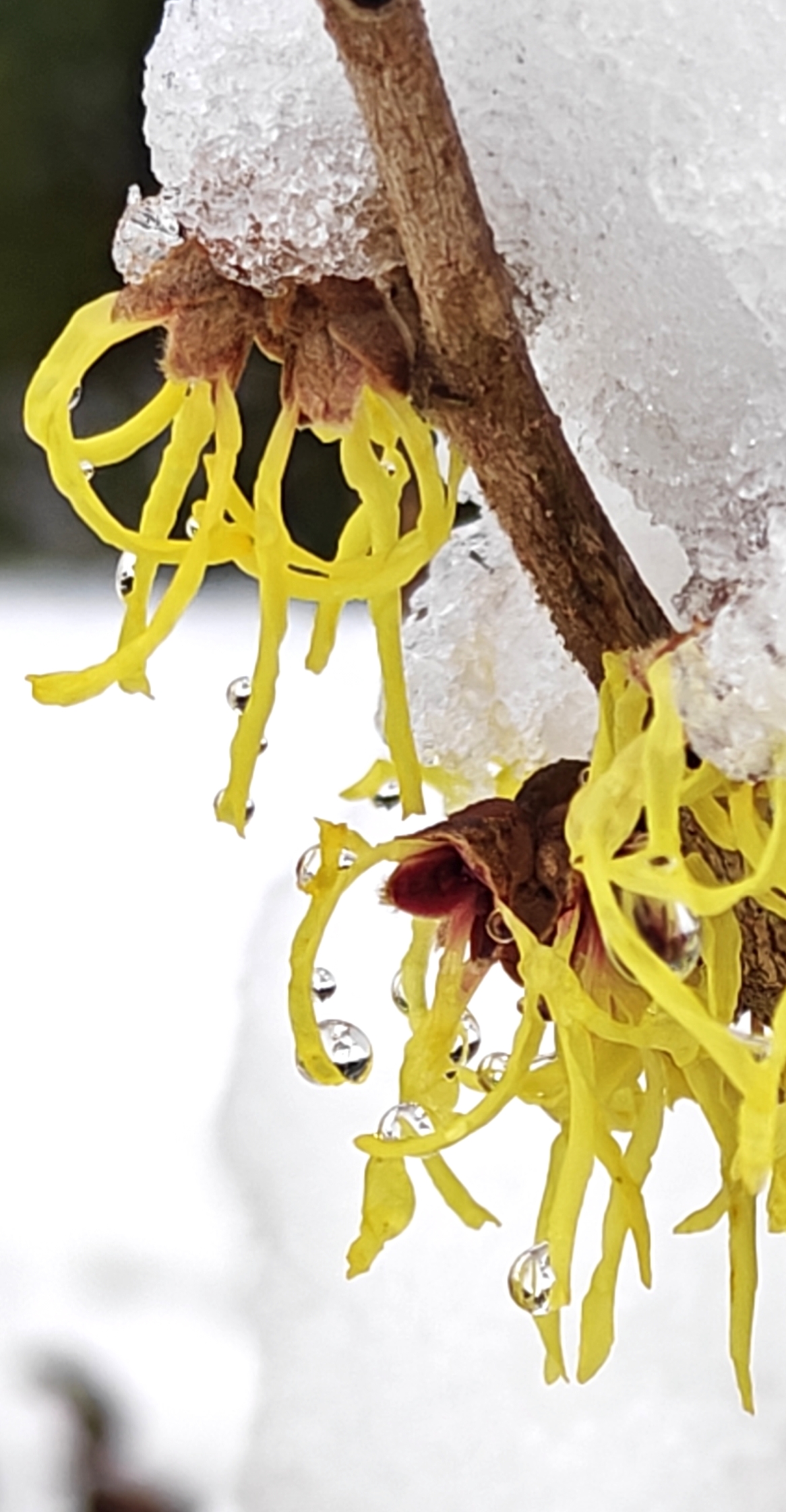 Zen.nl, Zen, meditatie, leren mediteren, foto